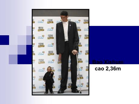 Bài giảng Mĩ thuật 8 - Bài 26: Giới thiệu tỉ lệ cơ thể người