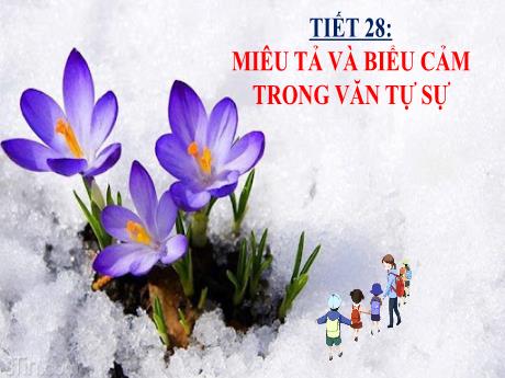 Bài giảng Ngữ văn 8 (Kết nối tri thức) - Tiết 28: Miêu tả và biểu cảm trong văn tự sự