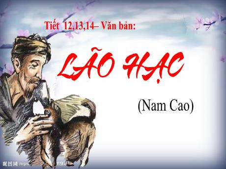 Bài giảng Ngữ văn 8 - Tiết 12, 13, 14: Văn bản Lão Hạc
