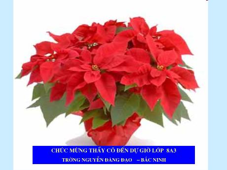 Bài giảng Ngữ văn 8 - Tiết 27: Tình thái từ - Trường THCS Nguyễn Đăng Đạo