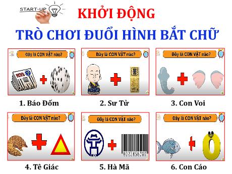 Bài giảng Địa lí 8 (Kết nối tri thức) - Bài 10: Sinh vật Việt Nam - Trường THCS Nam Hải