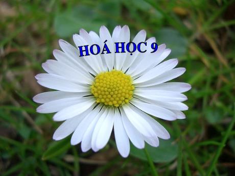 Bài giảng Hóa học 9 - Bài: Phân bón hóa học - Phạm Thị Phượng Trường THCS Tràng Cát