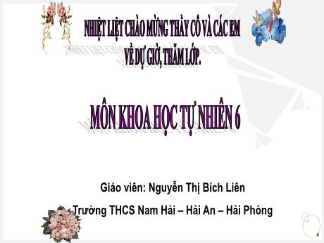 Bài giảng Khoa học tự nhiên 6 (Cánh diều) - Bài 23: Đa dạng động vật có xương sống (Tiết 1) - Nguyễn Thị Bích Liên