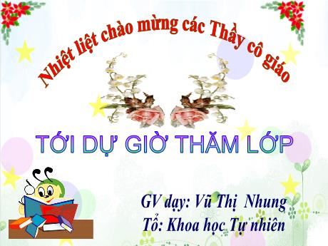 Bài giảng Khoa học tự nhiên 6 (Cánh diều) - Tiết 18+19 - Bài 5: Sự đa dạng của chất - Trường THCS Nam Hải