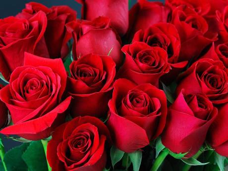 Bài giảng Khoa học tự nhiên 8 (Kết nối tri thức) - Bài 30: Khái quát cơ thể người - Trường THCS Nam Hải