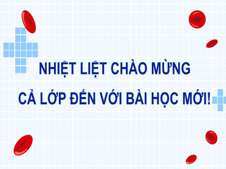 Bài giảng Khoa học tự nhiên 8 (Kết nối tri thức) - Bài 33: Máu và hệ tuần hoàn của cơ thể người - Trường THCS Tràng Cát