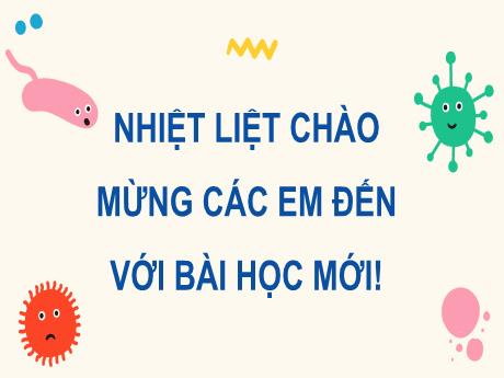 Bài giảng Khoa học tự nhiên 8 (Kết nối tri thức) - Bài 35: Hệ bài tiết ở người - Trường THCS Tràng Cát