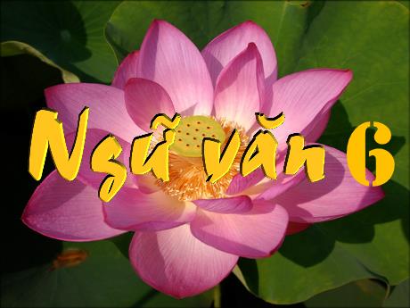 Bài giảng Ngữ văn 6 (Cánh diều) - Bài: Trong lòng mẹ - Trường THCS Nguyễn Chuyên Mỹ