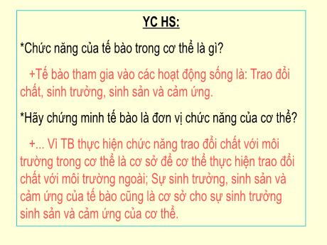 Bài giảng Sinh học 8 - Bài 4: Mô - Trường THCS Nguyễn Du - Đông Hà