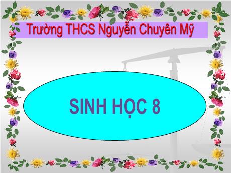 Bài giảng Sinh học 8 - Bài 5: Thực hành quan sát tế bào và mô - Trường THCS Nguyễn Chuyên Mỹ