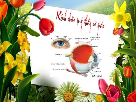 Bài giảng Sinh học 8 - Bài 50: Vệ sinh mắt - Trường THCS Nguyễn Chuyên Mỹ