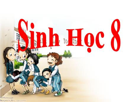 Bài giảng Sinh học 8 - Bài 51: Cơ quan phân tích thính giác - Trường THCS Nguyễn Chuyên Mỹ