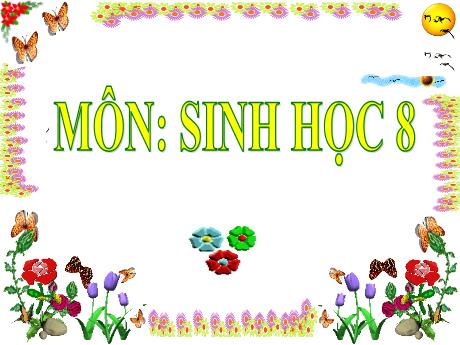 Bài giảng Sinh học 8 - Bài: Thực hành hô hấp nhân tạo - Trường THCS Nguyễn Chuyên Mỹ