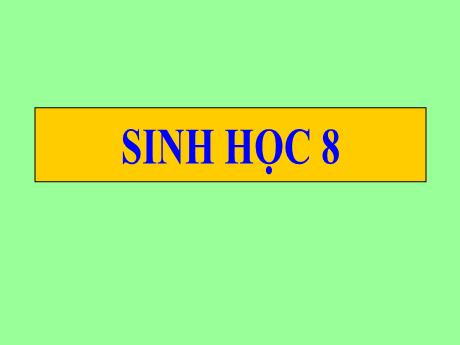 Bài giảng Sinh học 8 (Cánh diều) - Bài 1: Bài mở đầu - Trường THCS Nguyễn Chuyên Mỹ
