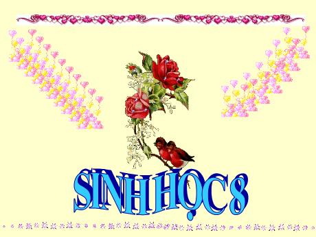 Bài giảng Sinh học 8 (Cánh diều) - Chủ đề 1: Máu và moi trường trong cơ thể - Trường THCS Nguyễn Chuyên Mỹ