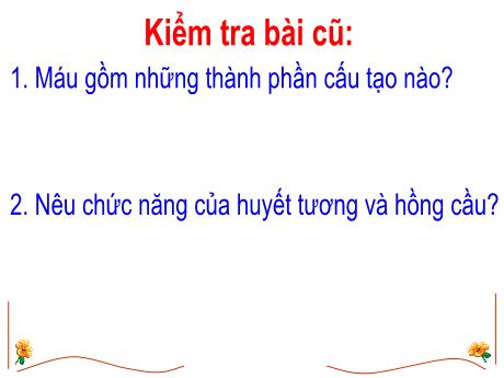 Bài giảng Sinh học 8 (Cánh diều) - Chủ đề 2: Bạch cầu và miễn dịch - Trường THCS Nguyễn Chuyên Mỹ