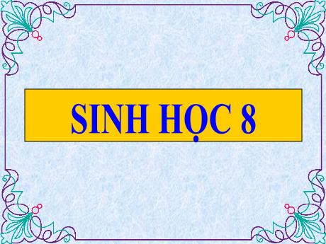 Bài giảng Sinh học 8 (Cánh diều) - Chủ đề 3: Đông máu và nguyên tắc truyền ma - Trường THCS Nguyễn Chuyên Mỹ