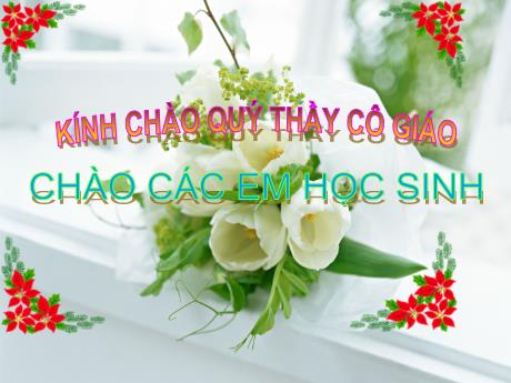 Bài giảng Sinh học 8 - Chủ đề 3: Tuần hoàn máu và lưu thông bạch huyết - Trường THCS Nguyễn Chuyên Mỹ