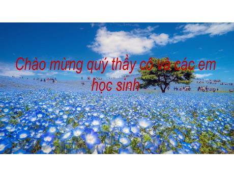 Bài giảng Sinh học 8 - Chương 1 - Bài 2: Cấu tạo về cơ thể người - Trường THCS Nguyễn Chuyên Mỹ