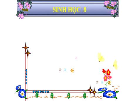 Bài giảng Sinh học 8 - Chương 2 - Bài: Bộ xương - Trường THCS Nguyễn Chuyên Mỹ