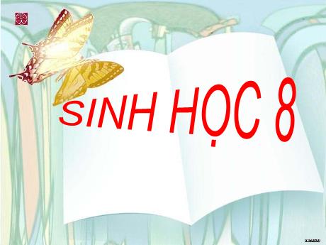 Bài giảng Sinh học 8 - Chương 4 - Tiết 41: Cấu tạo và chức năng của da - Trường THCS Nguyễn Chuyên Mỹ