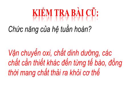 Bài giảng Sinh học 8 - Chương 5 - Bài 24: Tiêu hóa và các cơ quan tiêu hóa - Trường THCS Nguyễn Chuyên Mỹ