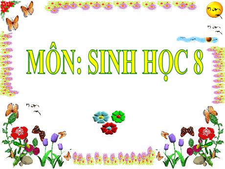 Bài giảng Sinh học 8 - Chương 5 - Tiết 21: Hô hấp và các cơ quan hô hấp - Trường THCS Nguyễn Chuyên Mỹ