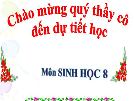 Bài giảng Sinh học 8 - Tiết 26 - Bài 25: Tiêu hóa ở khoang miệng - Trường THCS Nguyễn Chuyên Mỹ