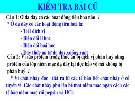 Bài giảng Sinh học 8 - Tiết 28 - Bài 28: Tiêu hóa ở ruột non - Trường THCS Nguyễn Chuyên Mỹ