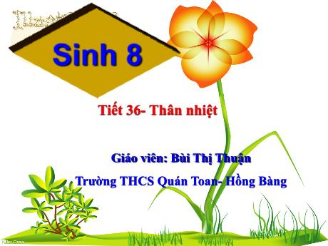 Bài giảng Sinh học 8 - Tiết 36: Thân nhiệt - Bùi Thị Thuận