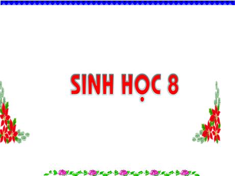 Bài giảng Sinh học 8 - Tiết 37 - Bài 36: Tiêu chuaarna ưn uống, nguyên tắc lập khẩu phần - Trường THCS Nguyễn Chuyên Mỹ