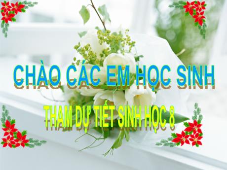 Bài giảng Sinh học 8 - Tiết 39: - Bài 38: Bài tiết và cấu tạo hệ bài tiết nước tiểu - Trường THCS Nguyễn Chuyên Mỹ
