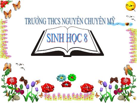 Bài giảng Sinh học 8 - Tiết 43 - Bài 45: Dây thần kinh tủy - Trường THCS Nguyễn Chuyên Mỹ