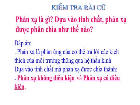Bài giảng Sinh học 8 - Tiết 52 - Bài 52: Phản xạ không điều kiện và phản xạ có điều kiện - Trường THCS Nguyễn Chuyên Mỹ