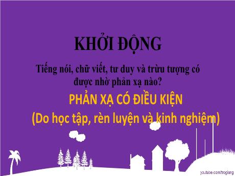 Bài giảng Sinh học 8 - Tiết 52 - Bài 54: Vệ sinh hệ thần kinh - Trường THCS Nguyễn Chuyên Mỹ